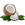 Coconut Products